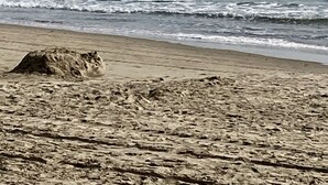Une plage avec des vagues et une zone de sable où se trouve une formation rocheuse.