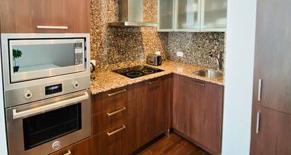 Sweet and Cozy 1 Bedroom in the heart of Downtown