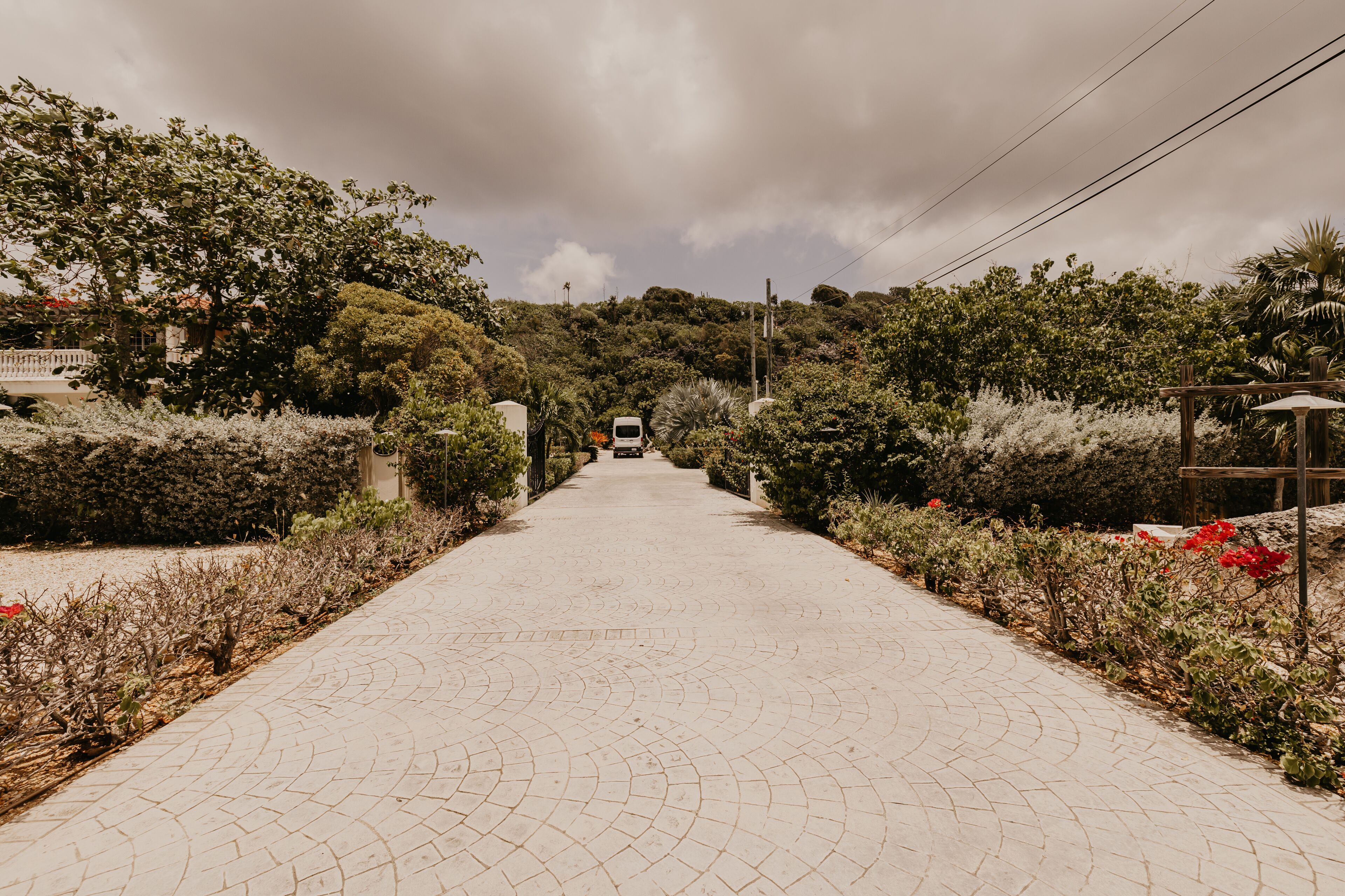 A paved pathway flanked by lush greenery and a building in the background.