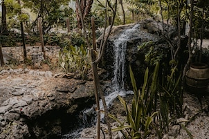 Jardín