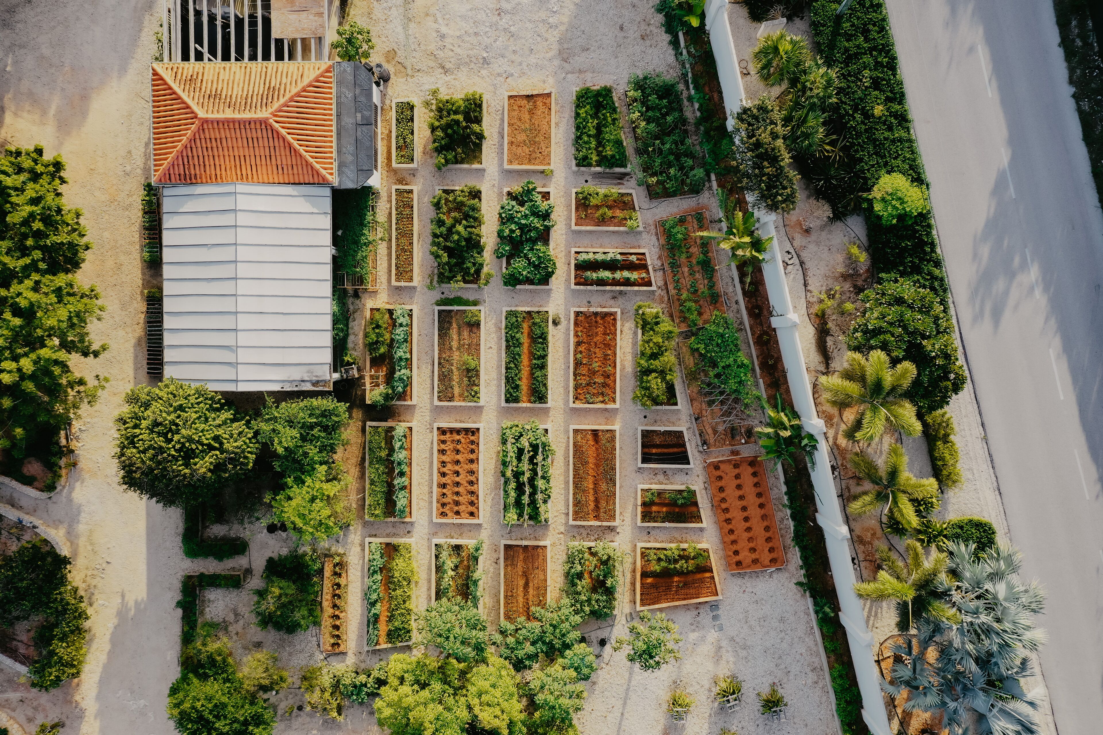 ル ソレイユ ドール ケイマンブラック Expedia提供写真