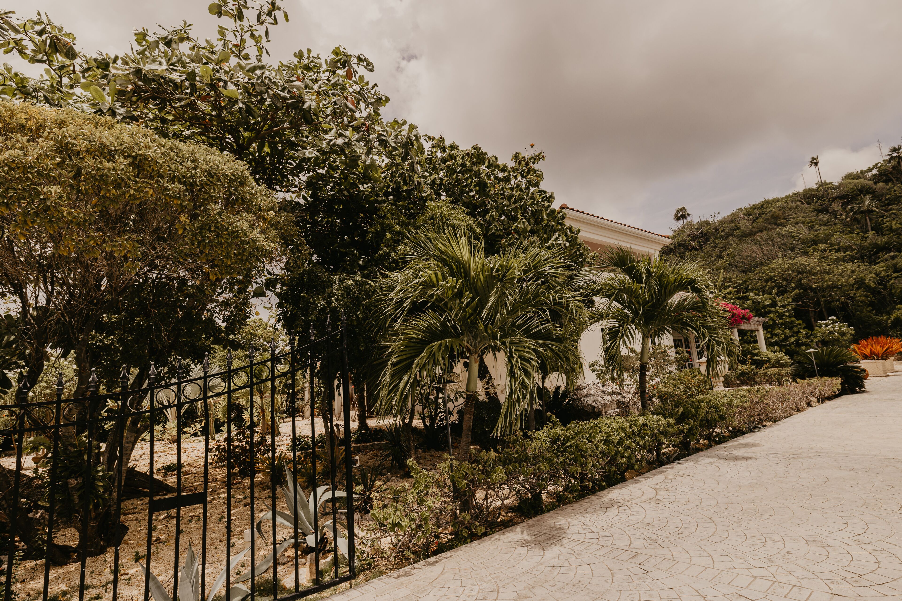 ル ソレイユ ドール ケイマンブラック Expedia提供写真