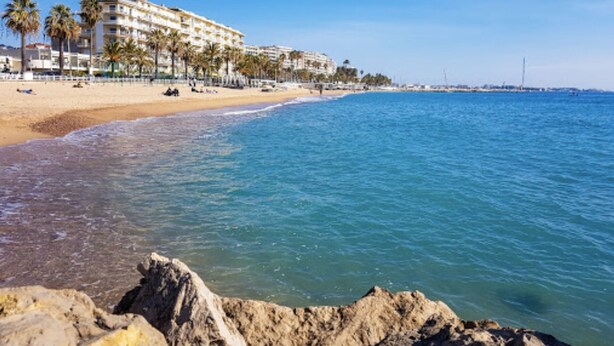 A beachfront hotel with a sandy beach, palm trees, and a rocky shoreline. - Apartment 300 m from Cannes beach (Cannes)