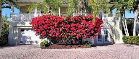 Un edificio con fachada blanca, un balcón y flores rojas en primer plano.