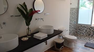 Shower, towels, soap, toilet paper