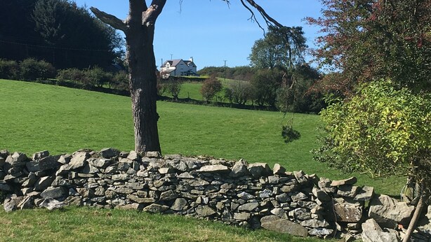 Um muro de pedra, uma árvore e um campo gramado, com uma casa ao fundo.
