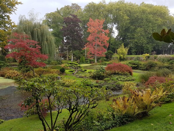 Property grounds - Furnished studio, quiet & Cosy, hyper center 5 mn from the Castle (Fontainebleau)