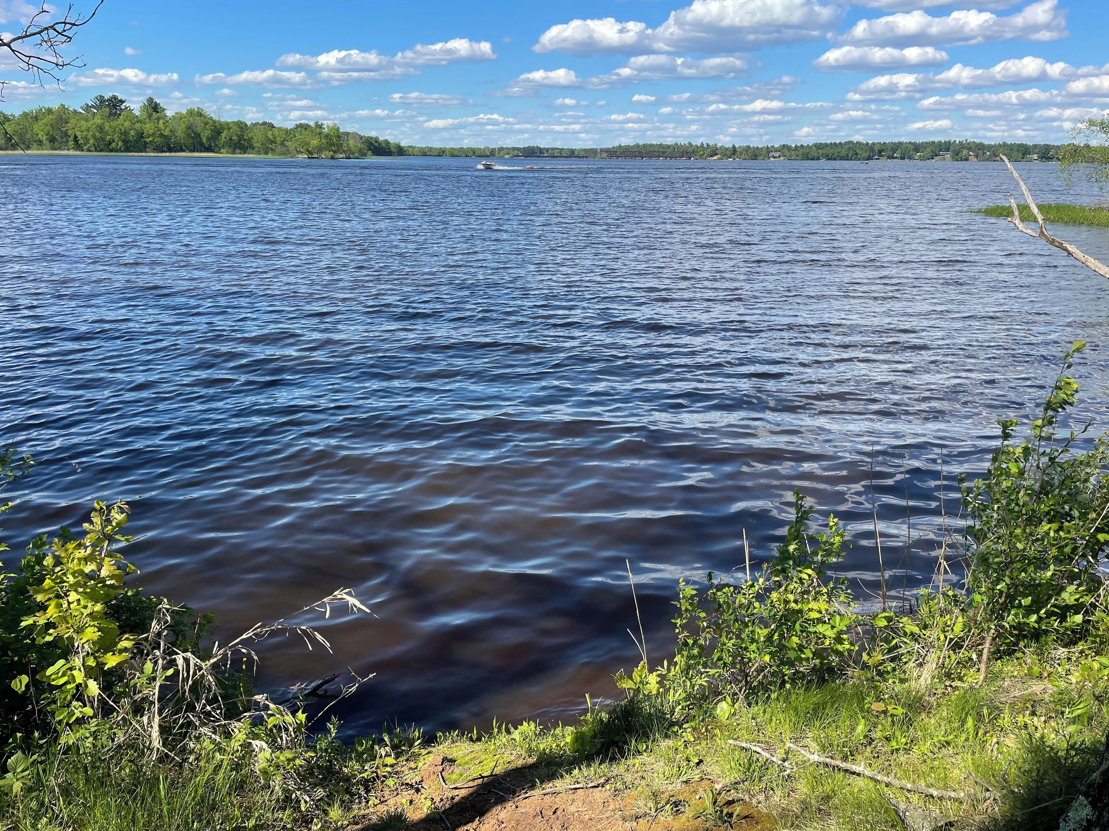 A calm lake with a boat in the distance, surrounded by greenery and trees.