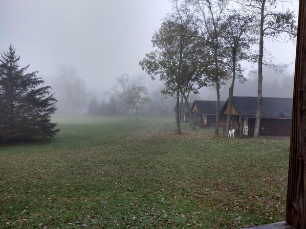 Escena exterior con niebla, césped, árboles y cabañas de madera.