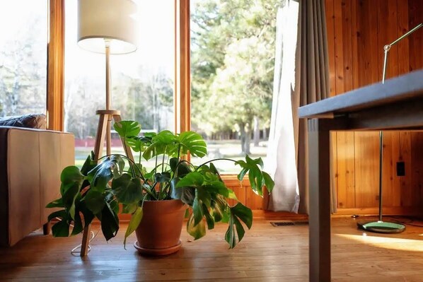 A room with a large window, wooden flooring, a potted plant, a lamp, and a wooden cabinet.