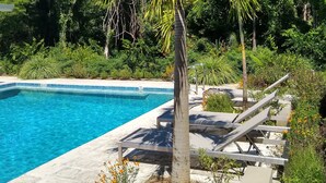 A swimming pool with a palm tree and lounge chairs. - Palm Beach Inn (Cabo Velas)