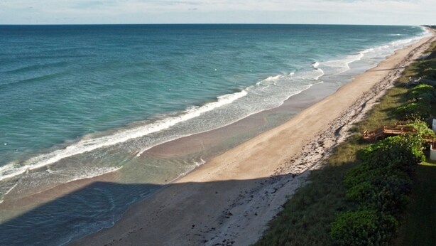 Una playa con vista despejada al océano, una orilla arenosa y algo de vegetación a un lado.