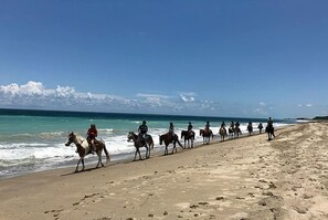 Beach nearby, beach towels