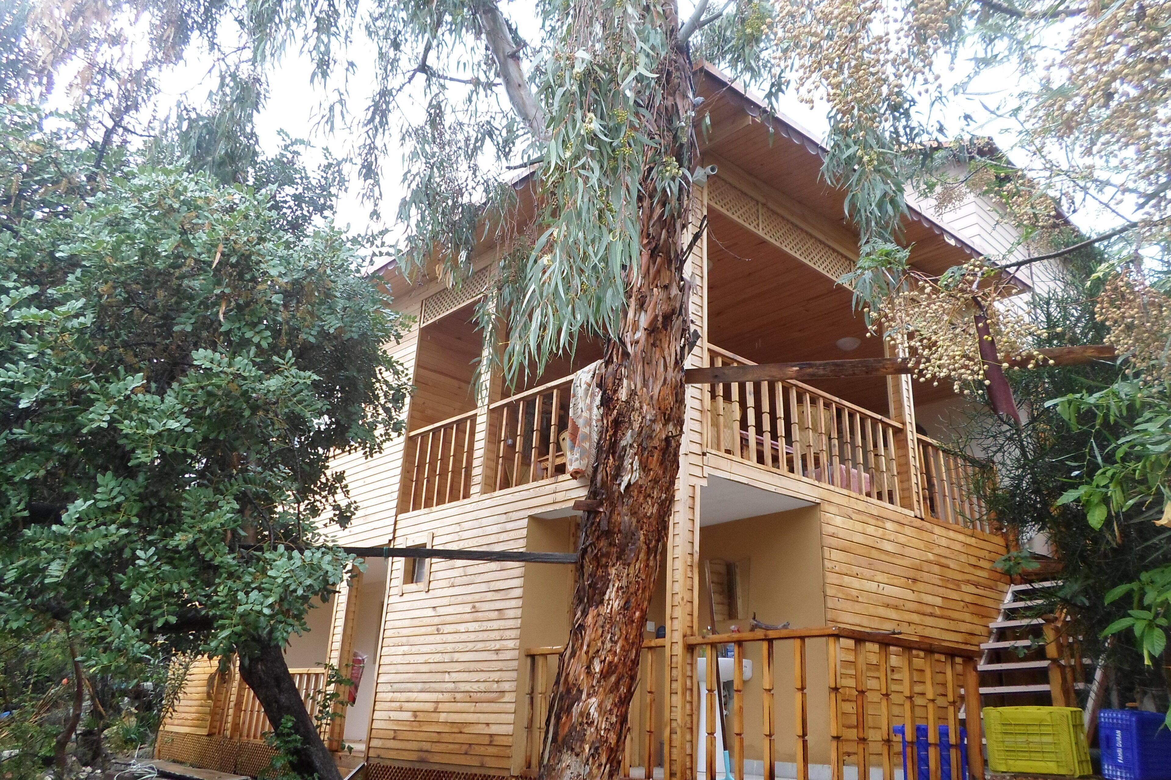 A wooden multi-story building with balconies, surrounded by trees.