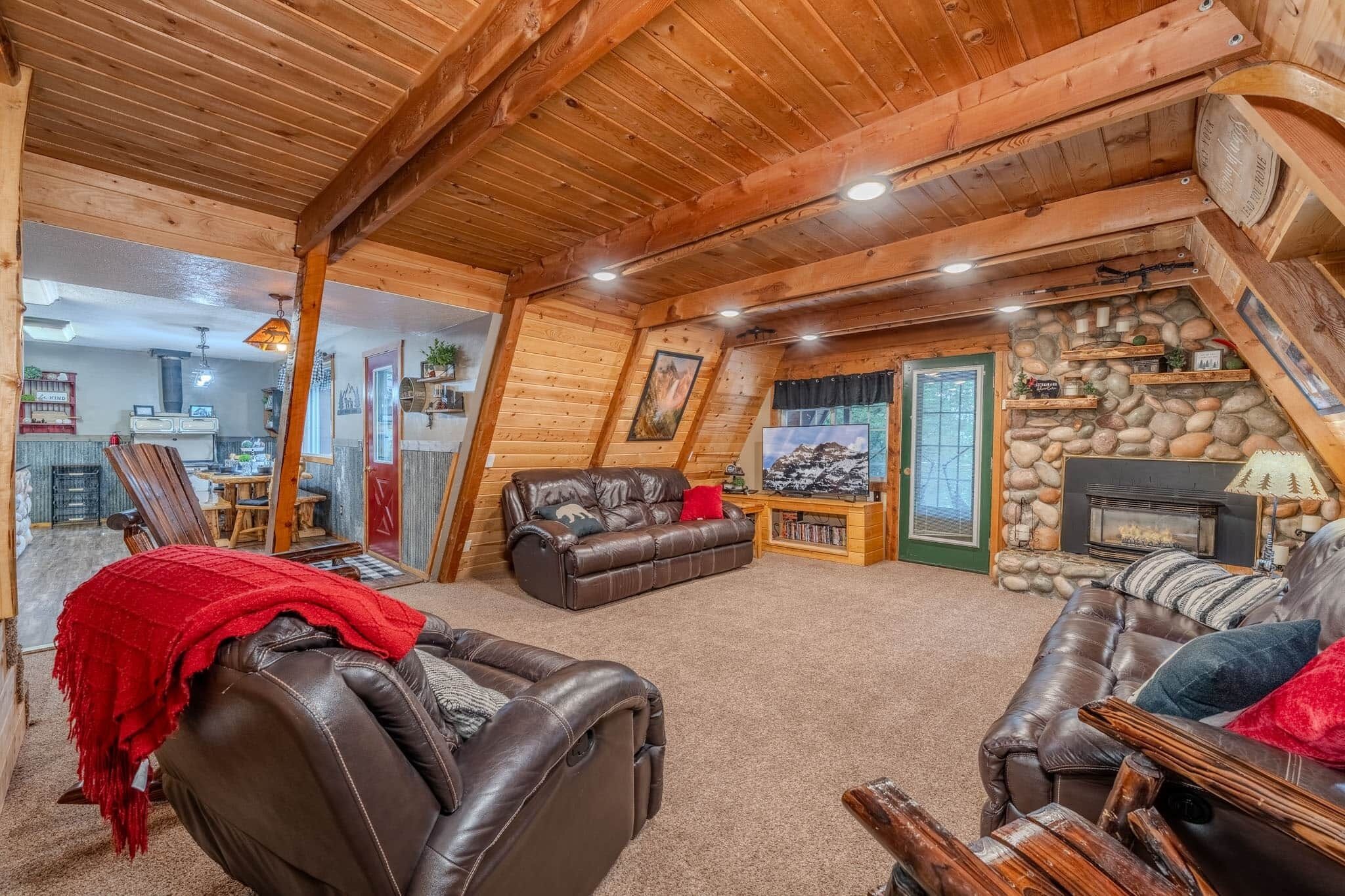 TV connectée, cheminée, lecteur de DVD, livres