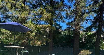 Enjoy a Hot Tub and a Pool at our Redding House Retreat