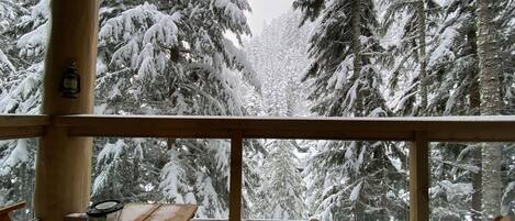 تناول الطعام بالخارج