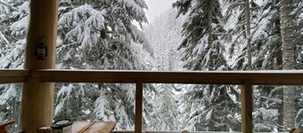 Cozy Whistler Creekside Ski-in/Ski-out Cabin - w/ Whistler Village Parking Spot