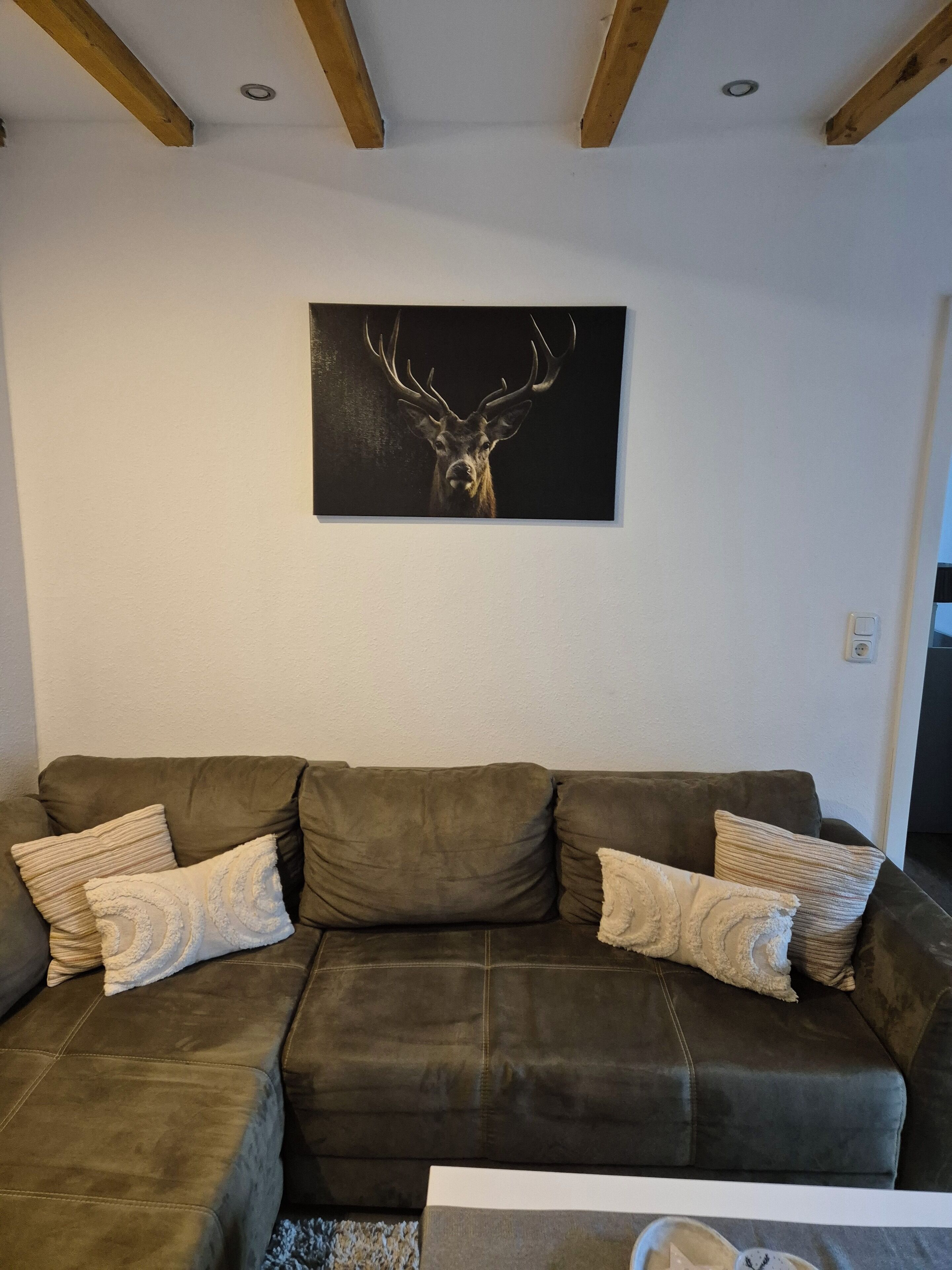 A living room with a brown leather sofa, two patterned throw pillows, and a framed deer head artwork on the wall.
