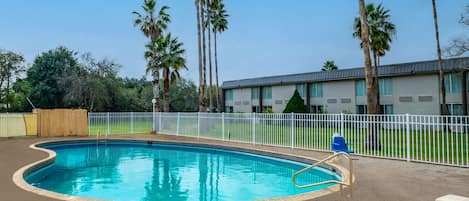Une piscine à bord incurvé, entourée d’une clôture blanche, de palmiers et, au fond, d’un bâtiment doté d’un toit plat.