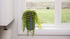 Een raam met een hangende plantenbak en een hanglamp.
