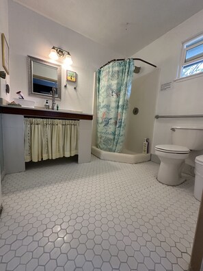 Ein Badezimmer mit sechseckig gefliestem Boden, einer Dusche mit tropischem Vorhang, einer Toilette und einem Waschbecken mit Spiegel darüber.