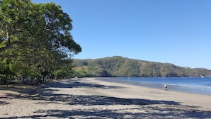 Una playa con arena, árboles y una colina al fondo.