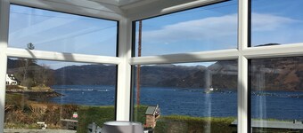 Toads Croak - Adults Only