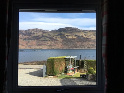 Toads Croak - Adults Only