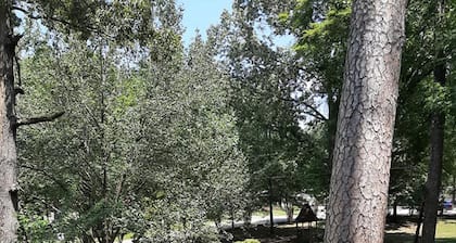Birdsong Resort Marina Lakeside RV