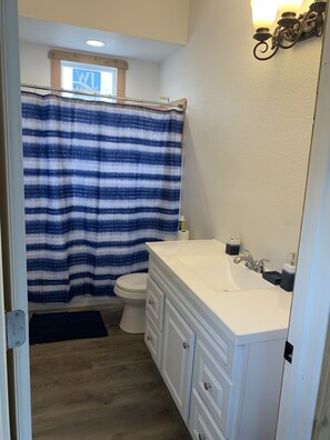 Combined shower/tub, soap, shampoo, toilet paper - Old Colorado City Get Away (Colorado Springs)