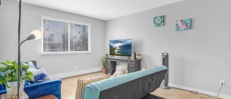 智能電視、書籍