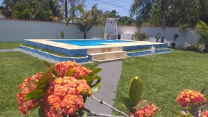 Una piscina con bordo in pietra, circondata da un prato curato e piante tropicali.