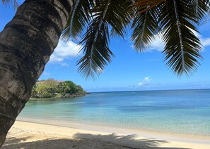 A beach with clear turquoise water, a sandy shore, and a palm tree. - Fantastic West Bay Beach location (5 minute walk). (West Bay)