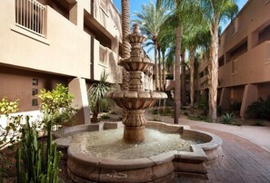 Property grounds - Desert Oasis Villa- 4 min from world-class golf. (Scottsdale)