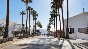 A paved walkway lined with palm trees and a building with a white facade.