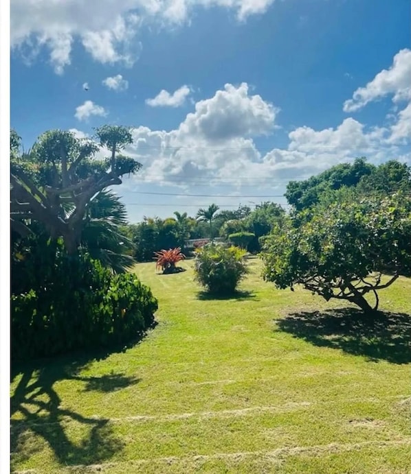 Property grounds - Vacation hideaway with sunset and mountain views (charlestown)