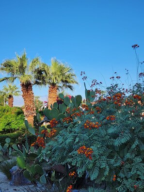 Overnattingsstedets uteområder