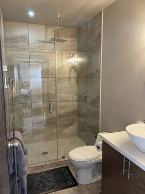 Dusche, Regendusche, Haartrockner, Handtücher
