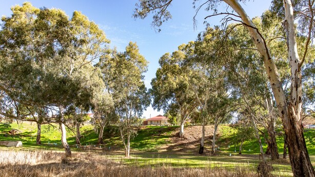 A residential area with a house surrounded by trees and grassy fields. - Unique Cottages Gawler (Gawler South)