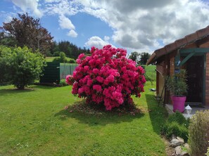 Terrein van de accommodatie