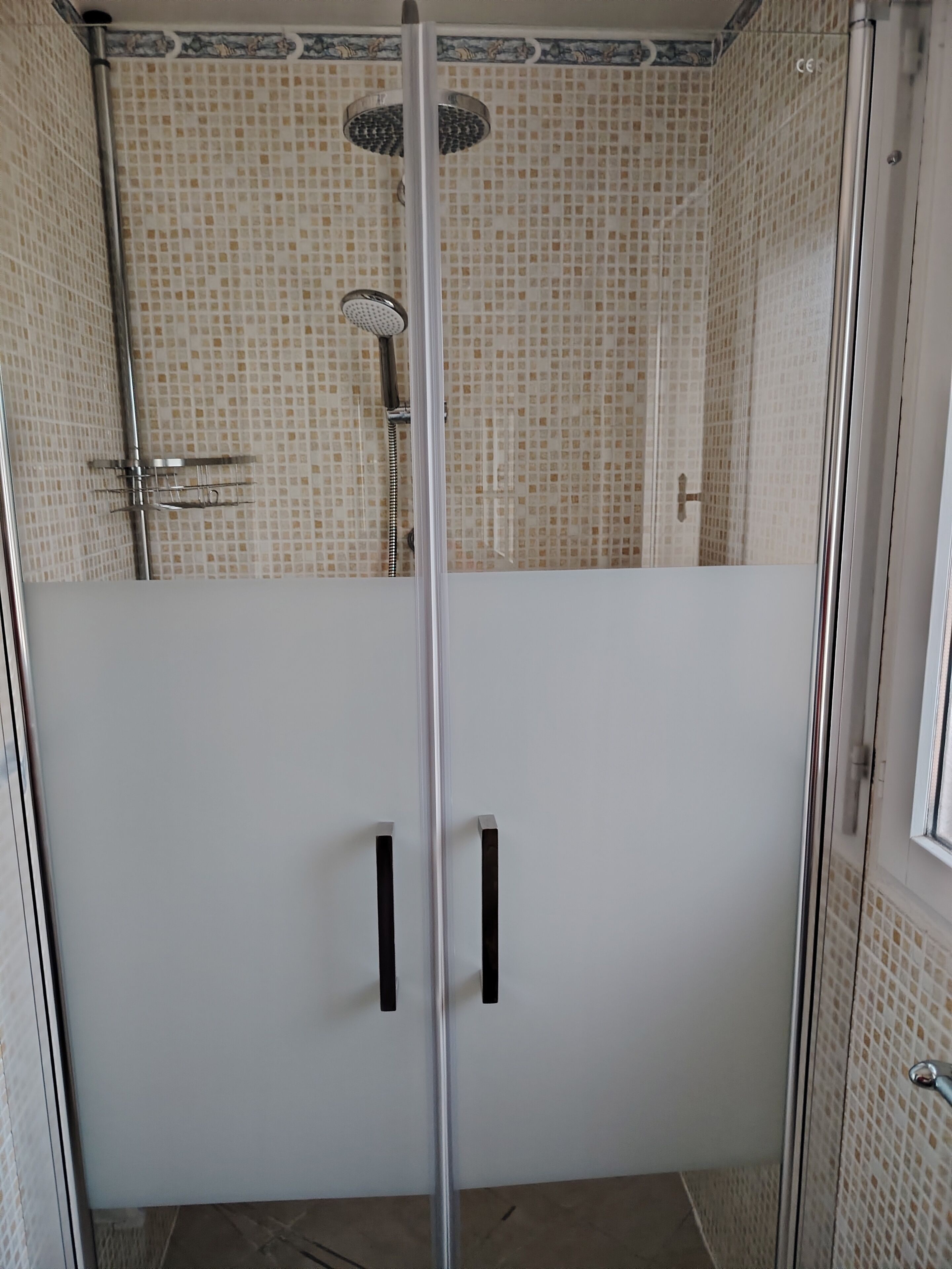 Shower, hair dryer, toilet paper