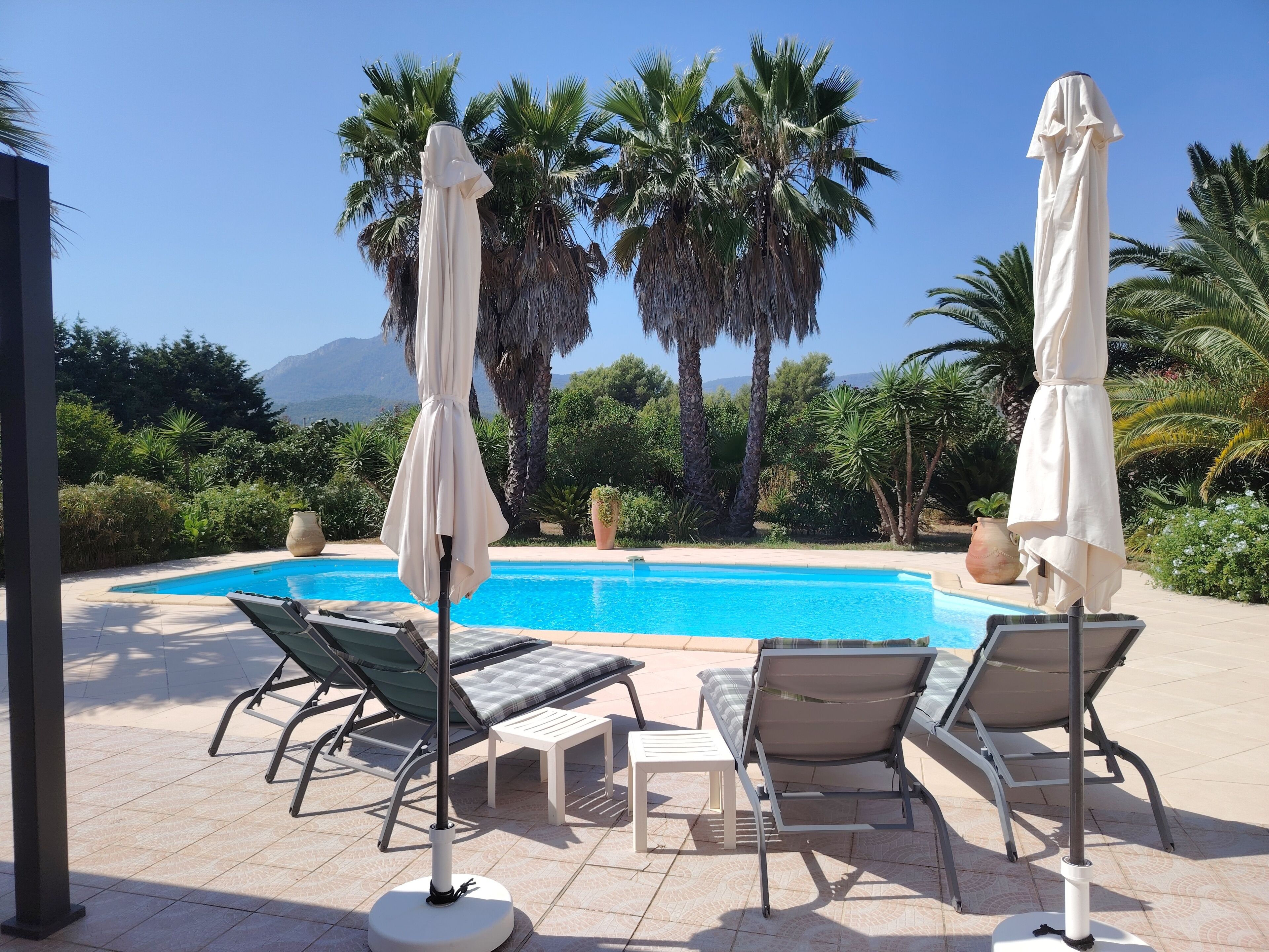 A poolside area with lounge chairs and umbrellas, surrounded by palm trees and a clear sky.