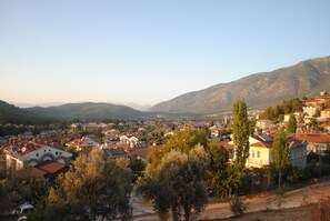 Ulkopuoli