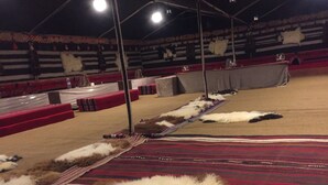 منطقة الاستقبال