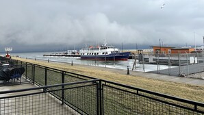 Blick auf die Küste mit einer Fähre, die an einem Steg anlegt, einer begrünten Uferpromenade und einem Gebäude im Hintergrund.