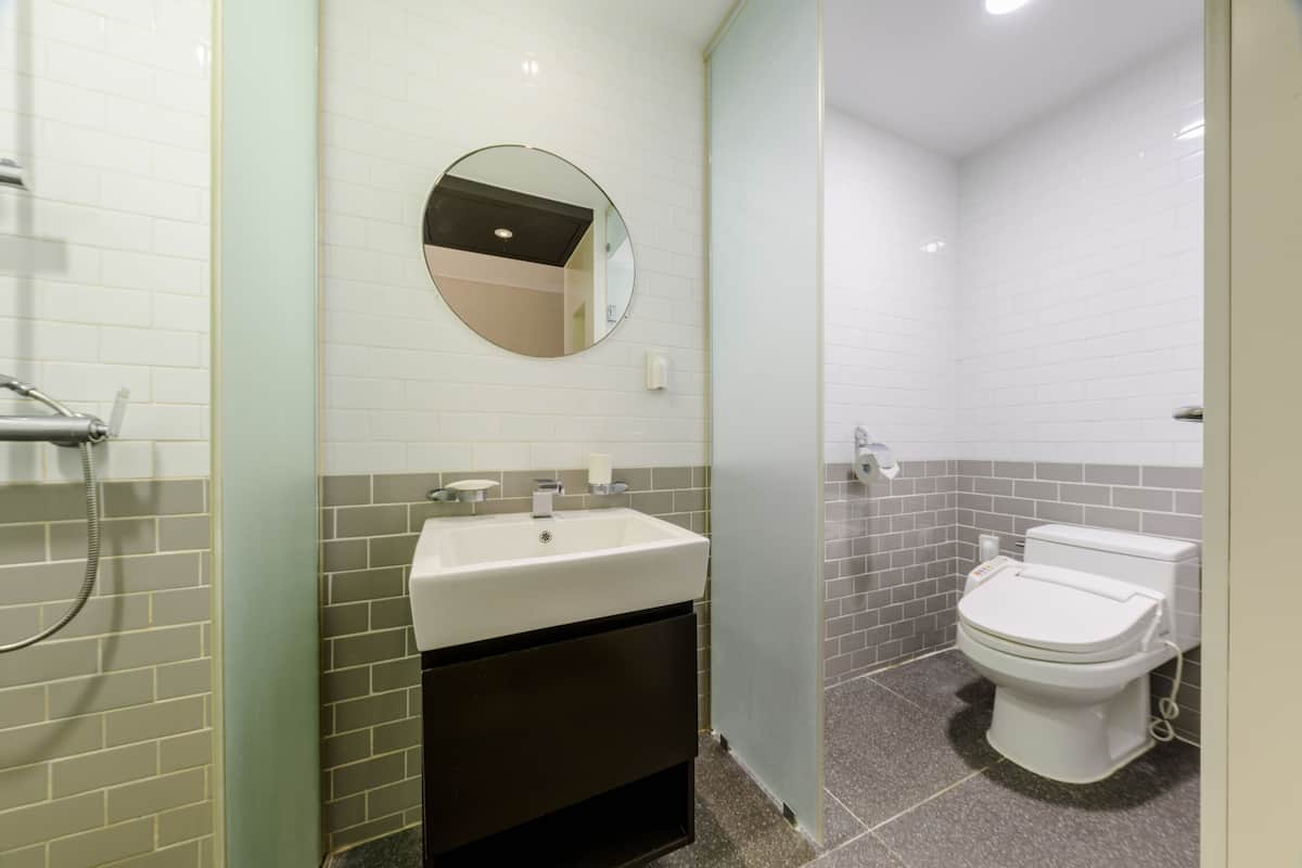 hydromassage showerhead, hair dryer, slippers, bidet