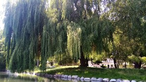 Ein friedlicher Park mit Weidenbäumen an einem stillen Teich, umgeben von einer Steinmauer und Rasenflächen.