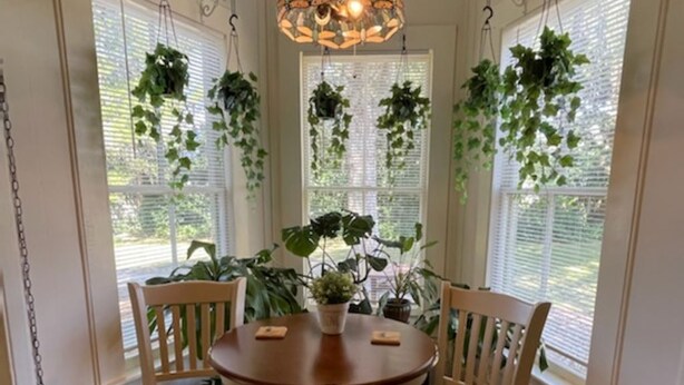 A dining area with a round wooden table and four chairs, surrounded by large windows with hanging plants. - Charming 1930's house only a few blocks from the St. Johns River! (Welaka)