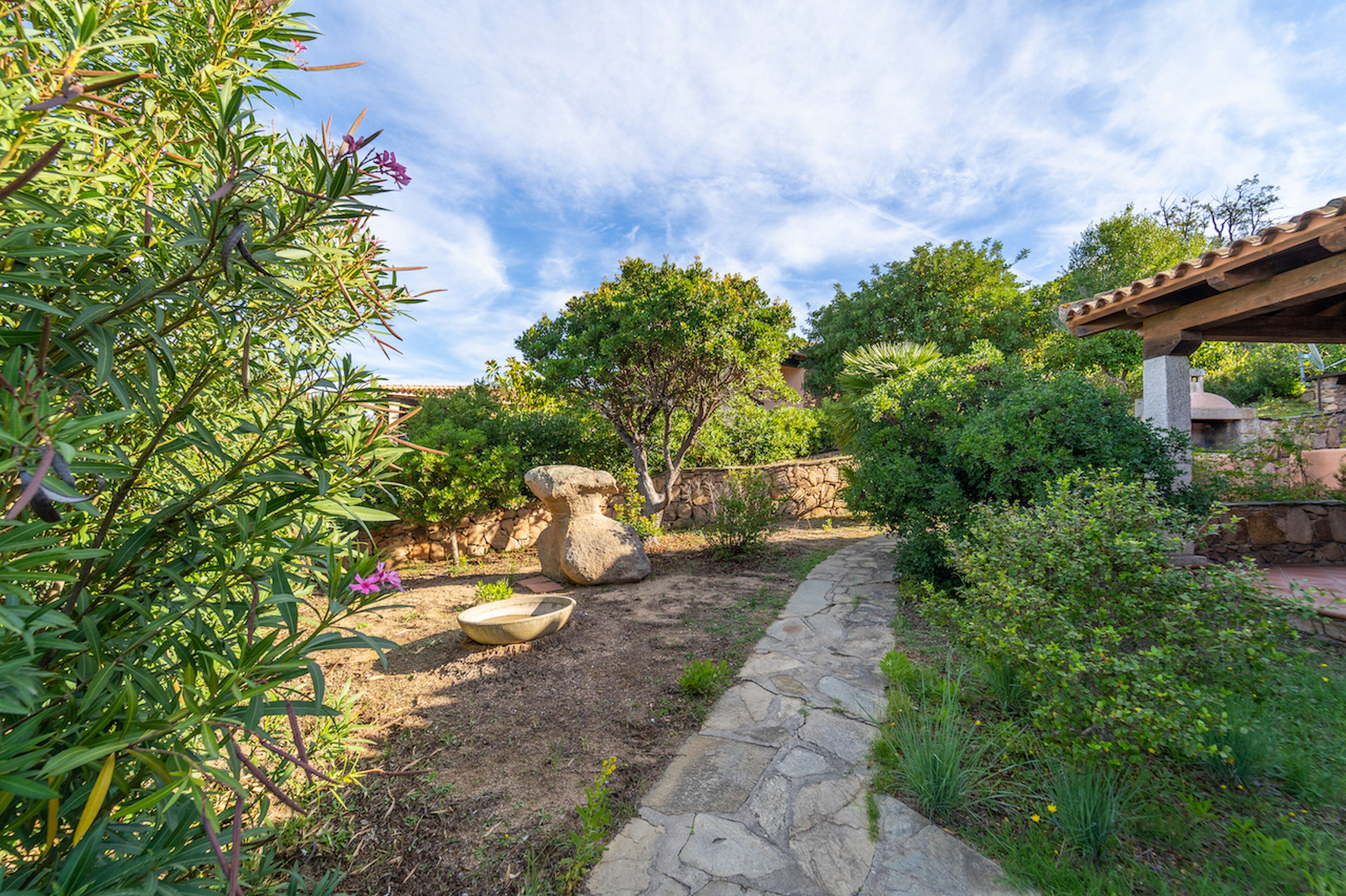 A garden with a stone pathway, a large rock, and various plants.